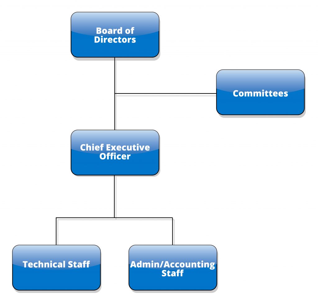 GSDTF Structure
